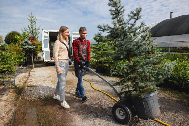 North Bend, NE Tree Services Company